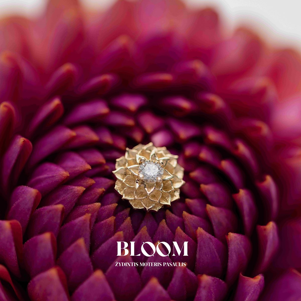Bloom